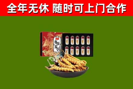 永平县烟酒回收冬虫夏草礼盒.jpg