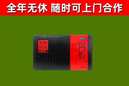 永平县回收阿胶